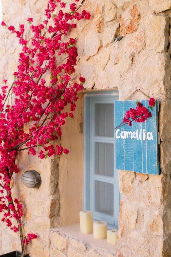 Villa Antheia Karterados (Santorini) Exterior foto