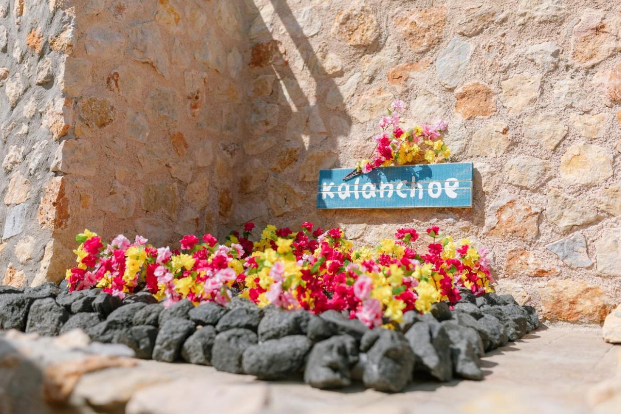 Villa Antheia Karterados (Santorini) Exterior foto